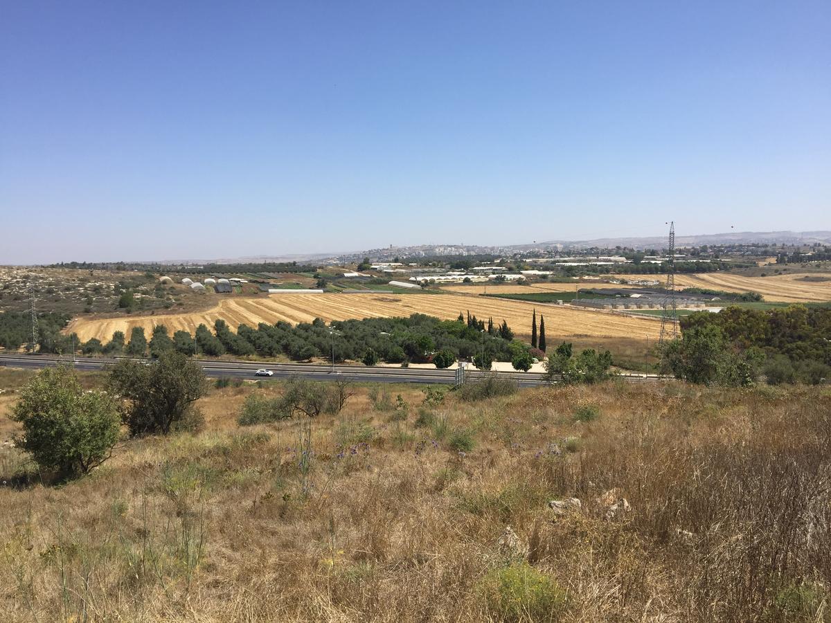 Peace Tent Villa Kfar Rut Bagian luar foto
