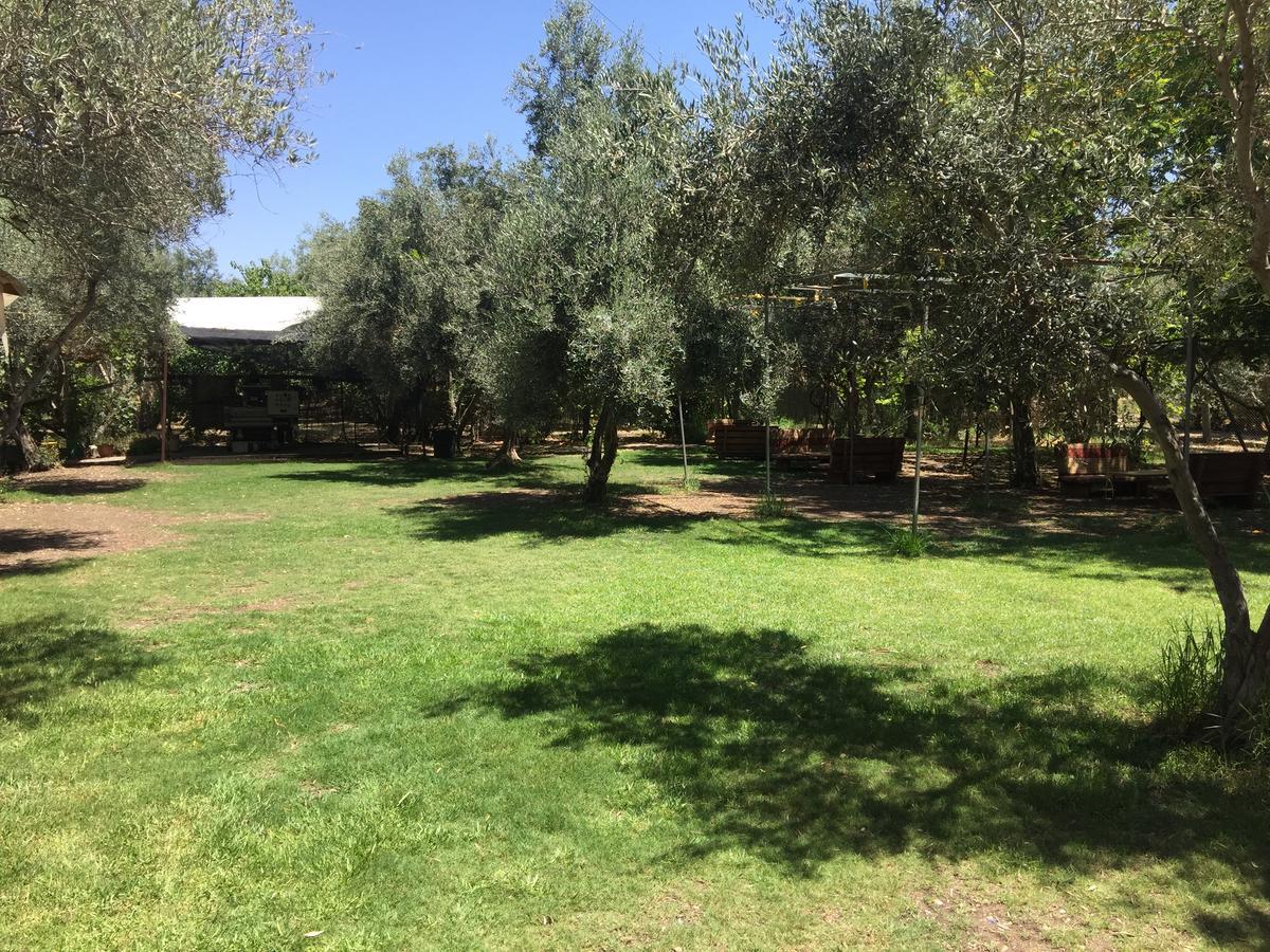 Peace Tent Villa Kfar Rut Bagian luar foto