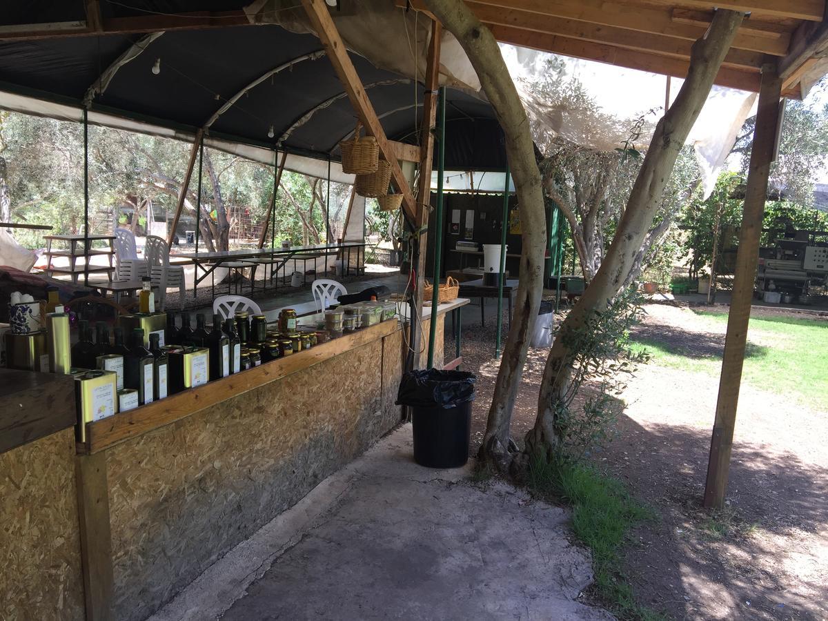 Peace Tent Villa Kfar Rut Bagian luar foto