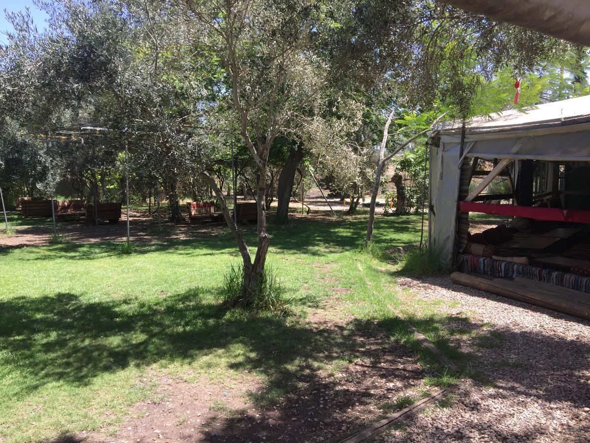 Peace Tent Villa Kfar Rut Bagian luar foto