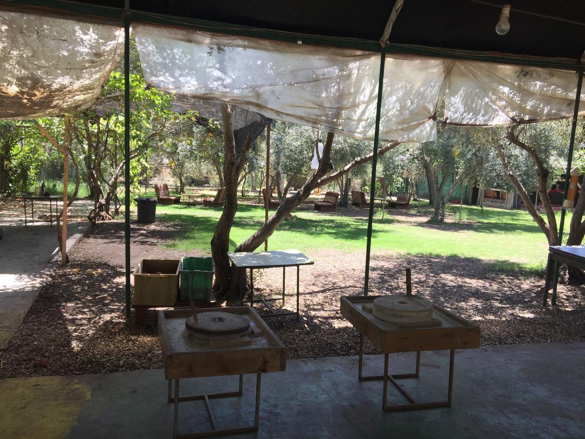 Peace Tent Villa Kfar Rut Bagian luar foto