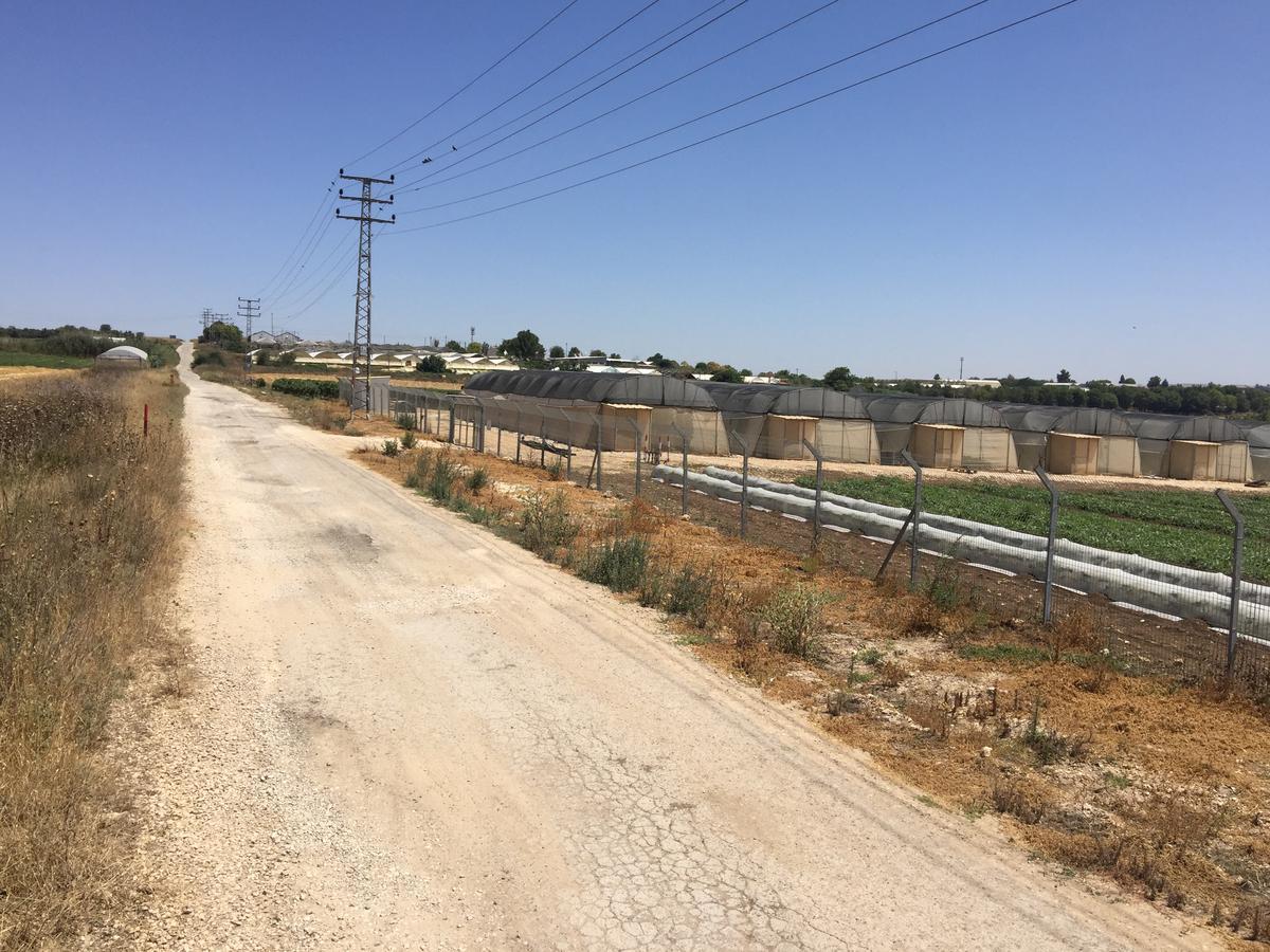 Peace Tent Villa Kfar Rut Bagian luar foto